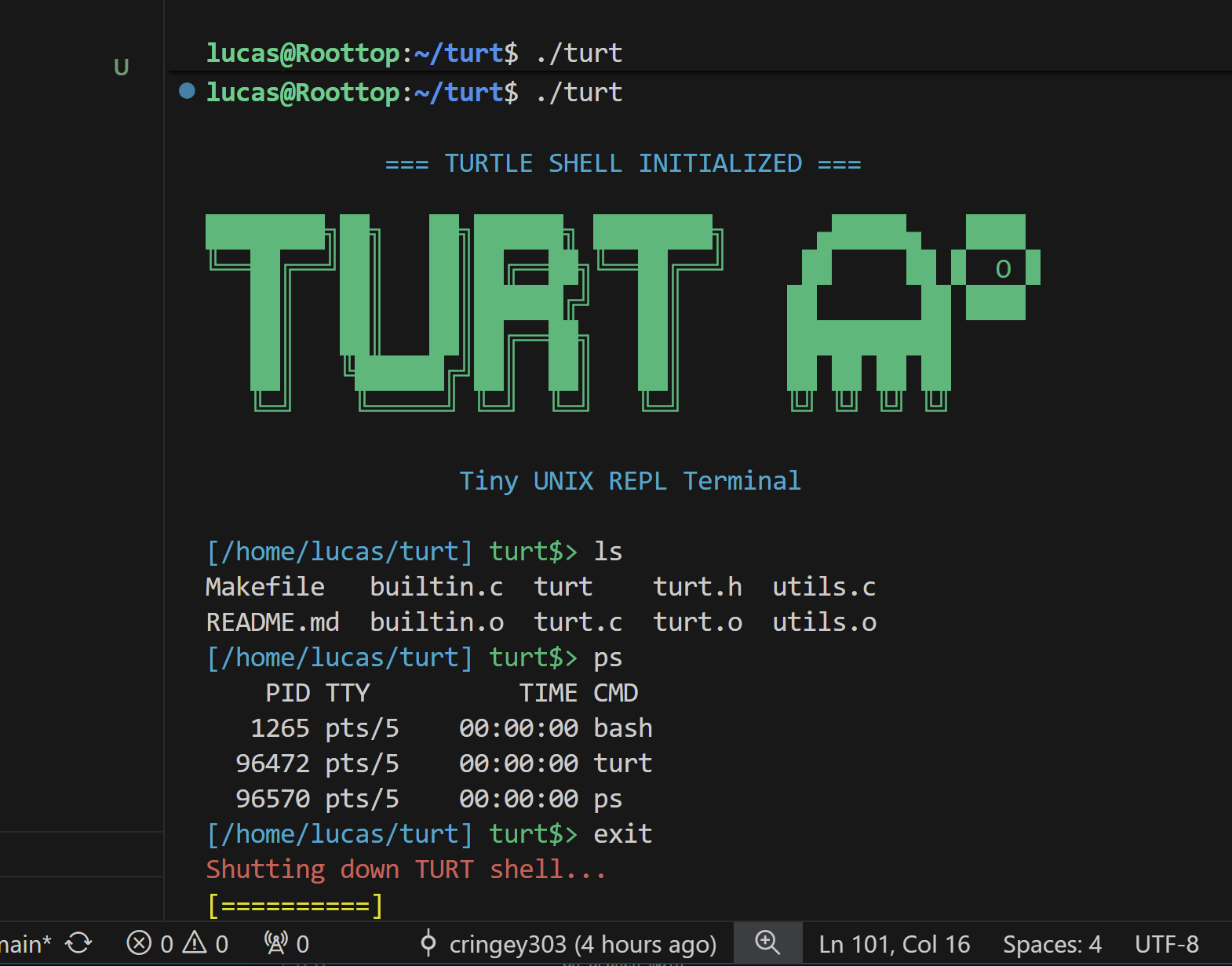 turt_shell
